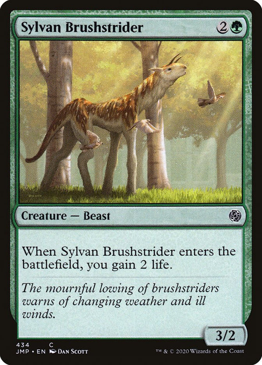 Sylvan Brushstrider front