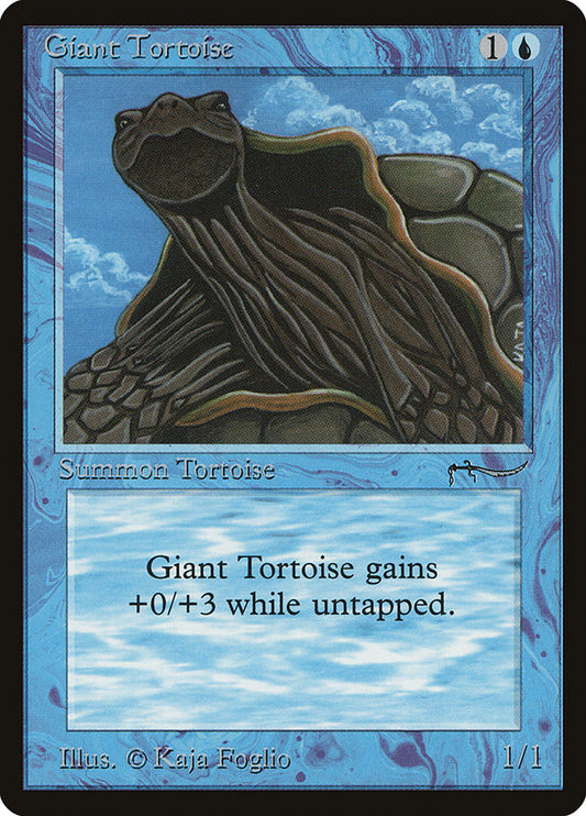 Giant Tortoise front