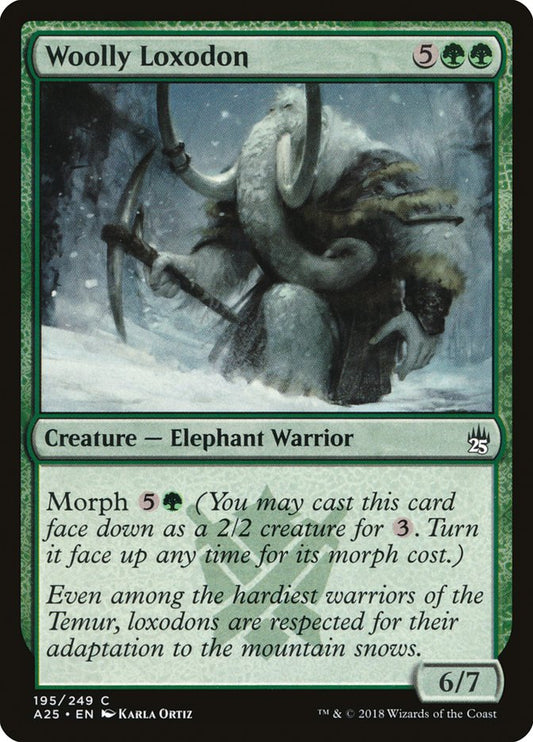 Woolly Loxodon front
