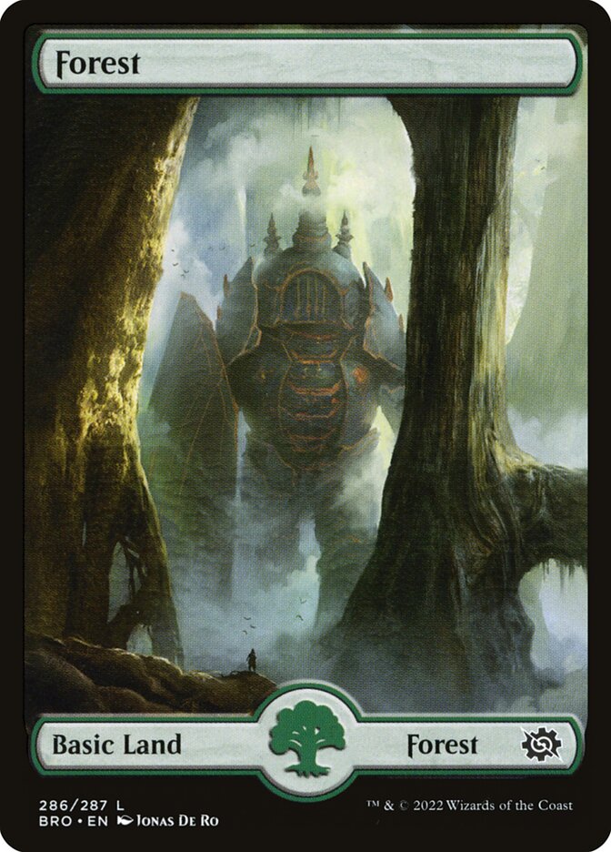 Forest front