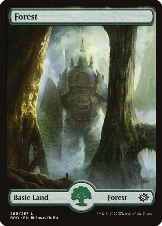 Forest front