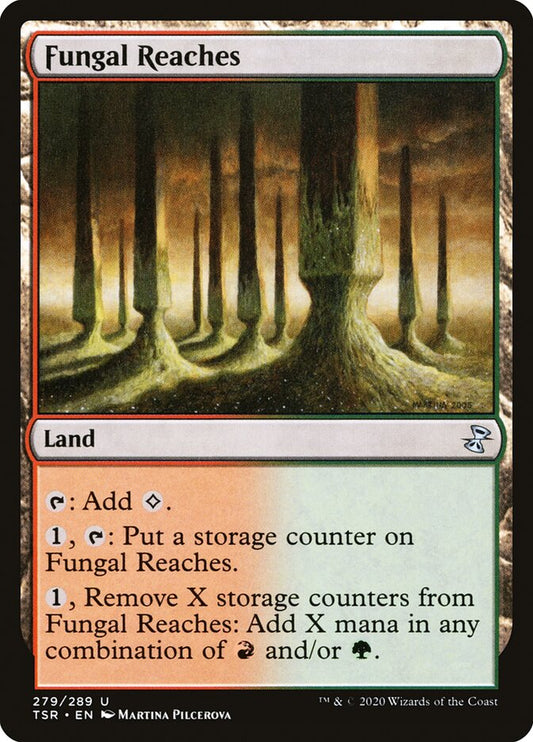 Fungal Reaches front