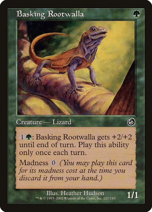 Basking Rootwalla front
