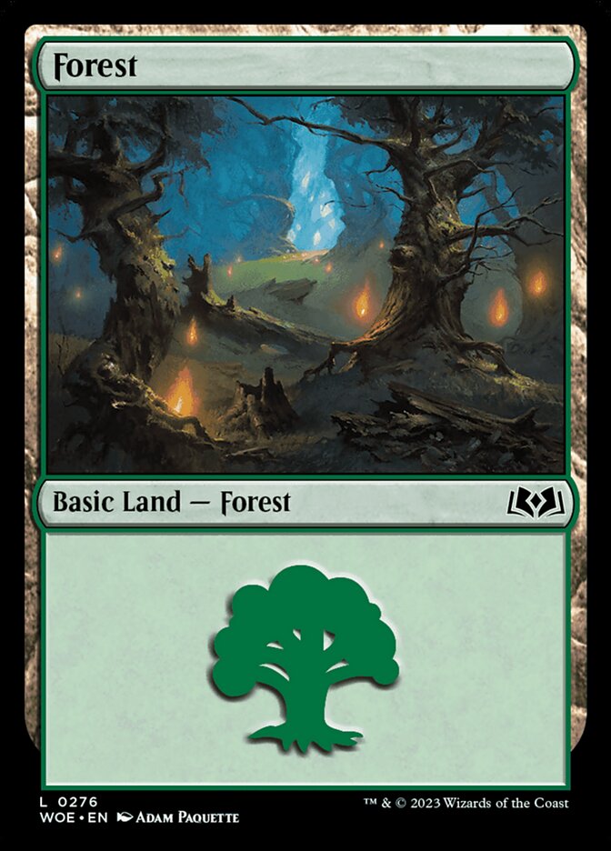 Forest front