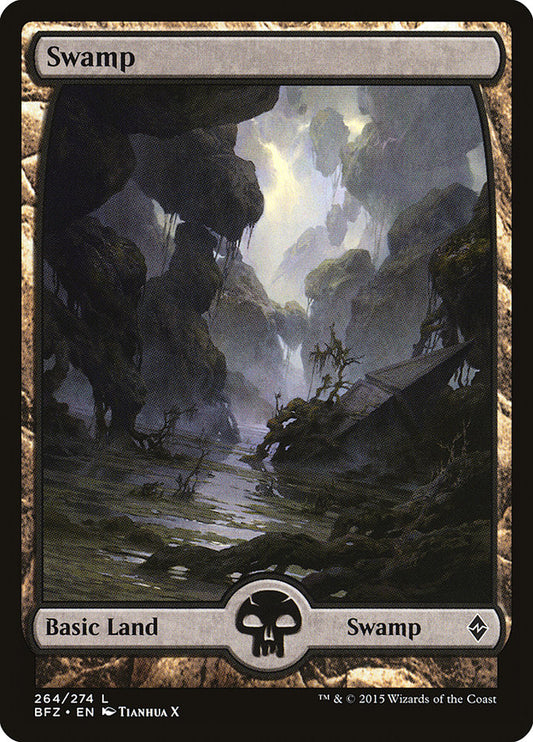 Swamp front