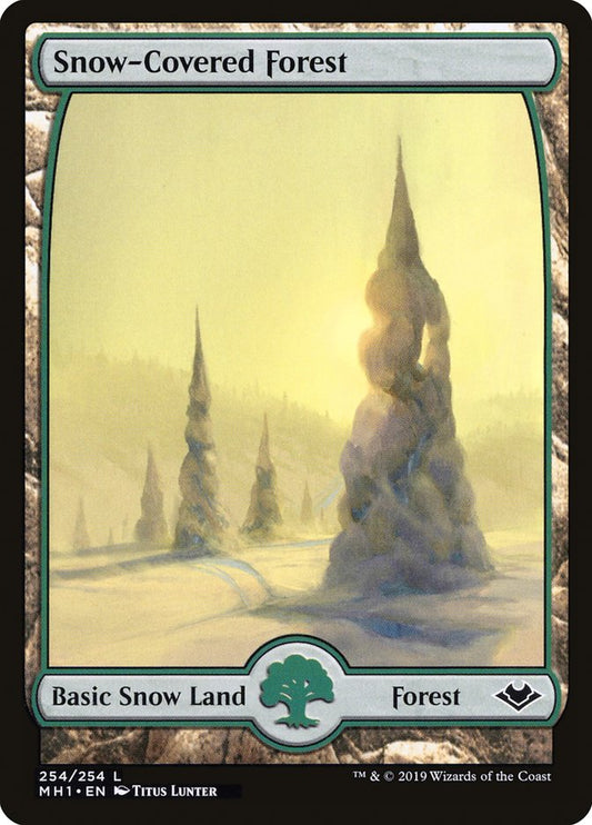 Snow-Covered Forest front