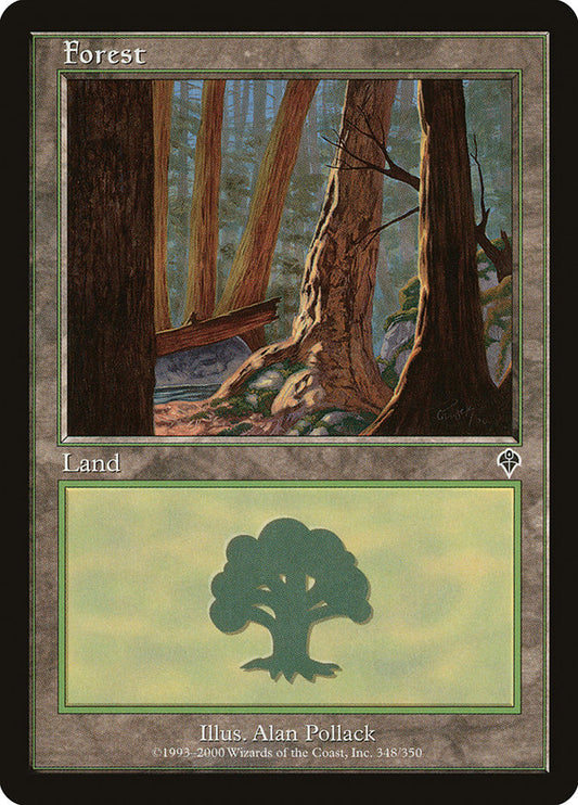 Forest front