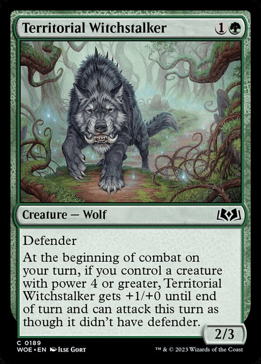 Territorial Witchstalker front