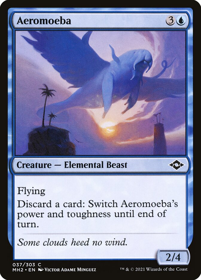 Aeromoeba front