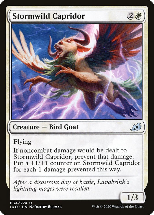Stormwild Capridor front