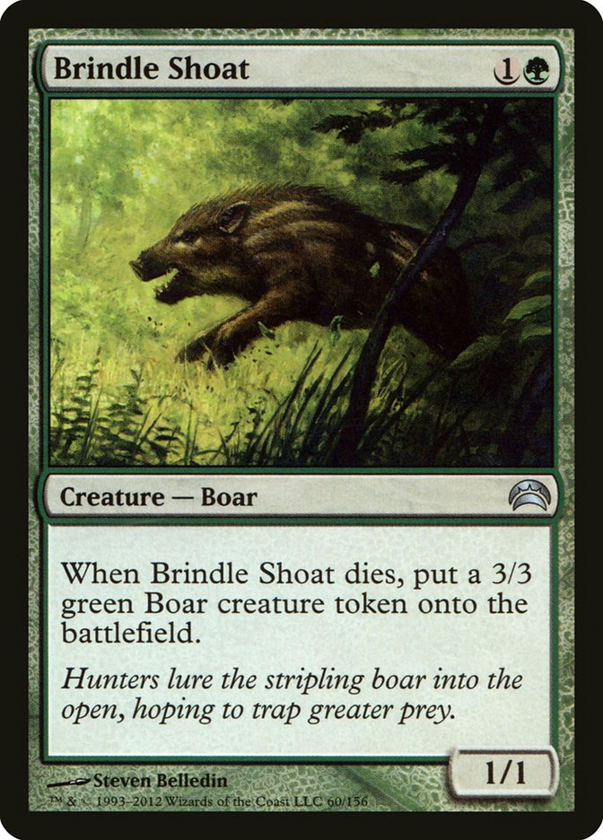 Brindle Shoat front