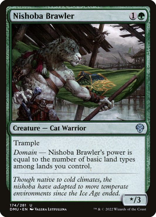 Nishoba Brawler front