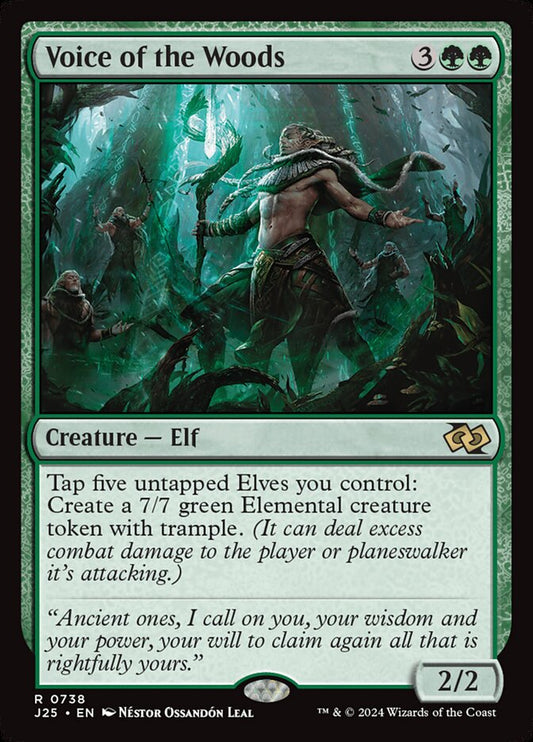 Voice of the Woods front