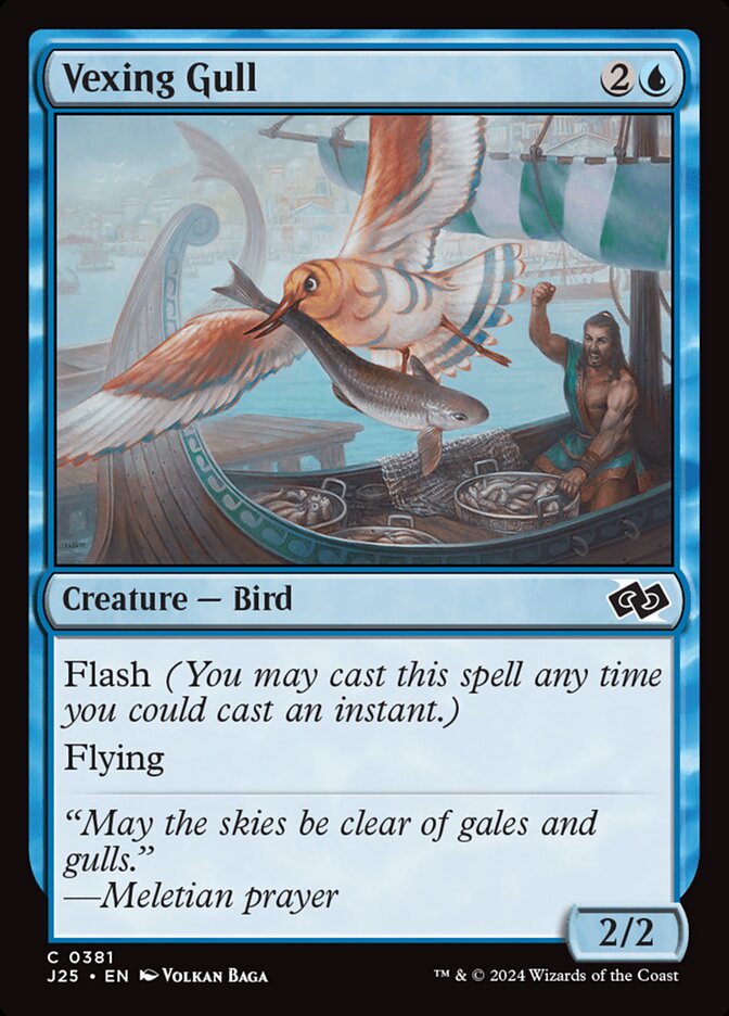 Vexing Gull front