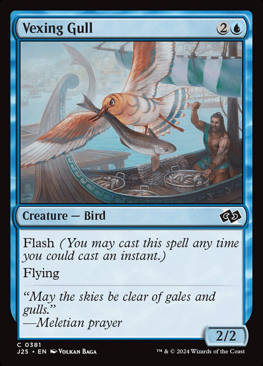 Vexing Gull front