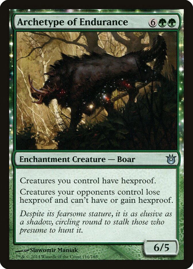 Archetype of Endurance front
