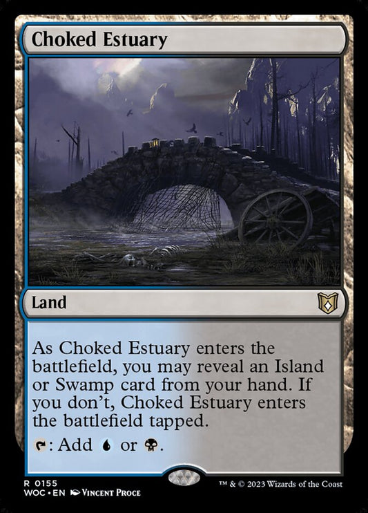 Choked Estuary front
