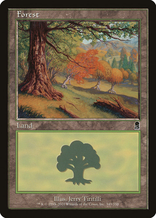Forest front