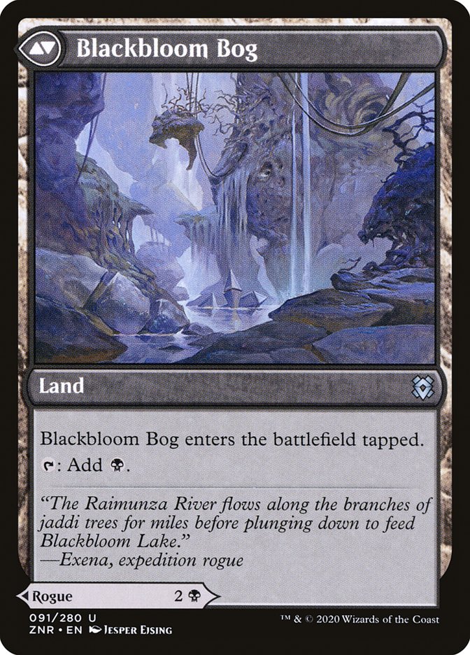 Blackbloom Rogue // Blackbloom Bog back