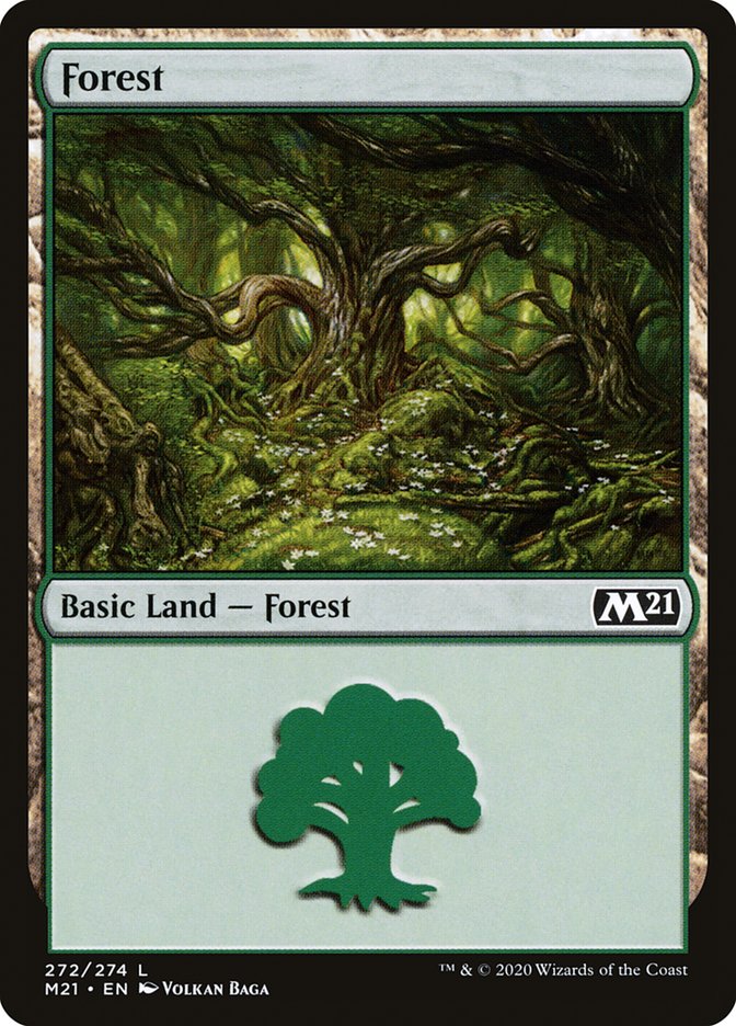 Forest front