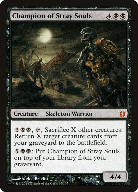 Champion of Stray Souls front
