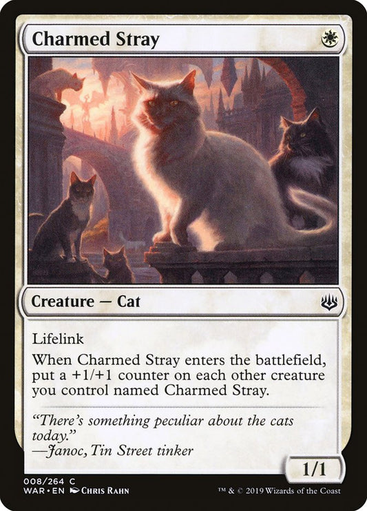 Charmed Stray front