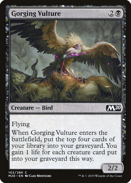 Gorging Vulture front