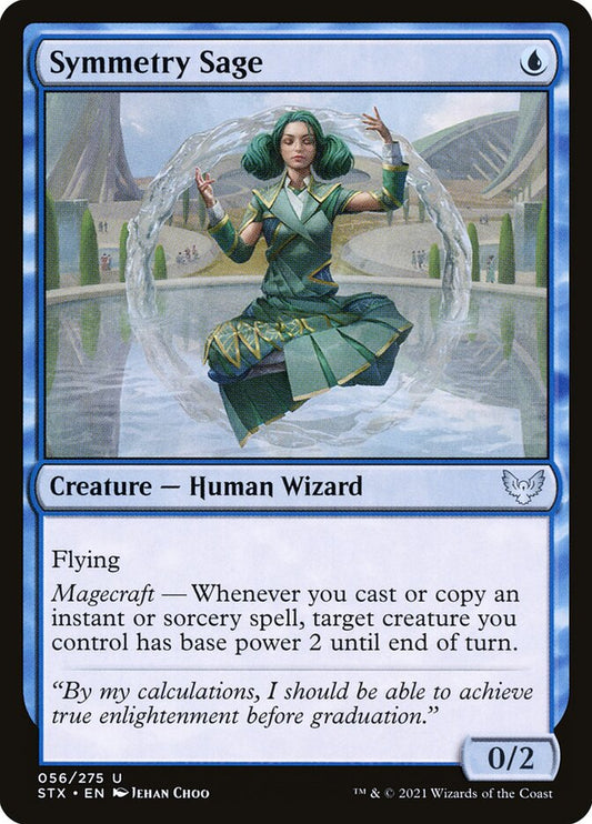 Symmetry Sage front
