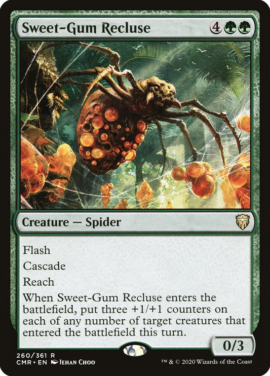 Sweet-Gum Recluse front