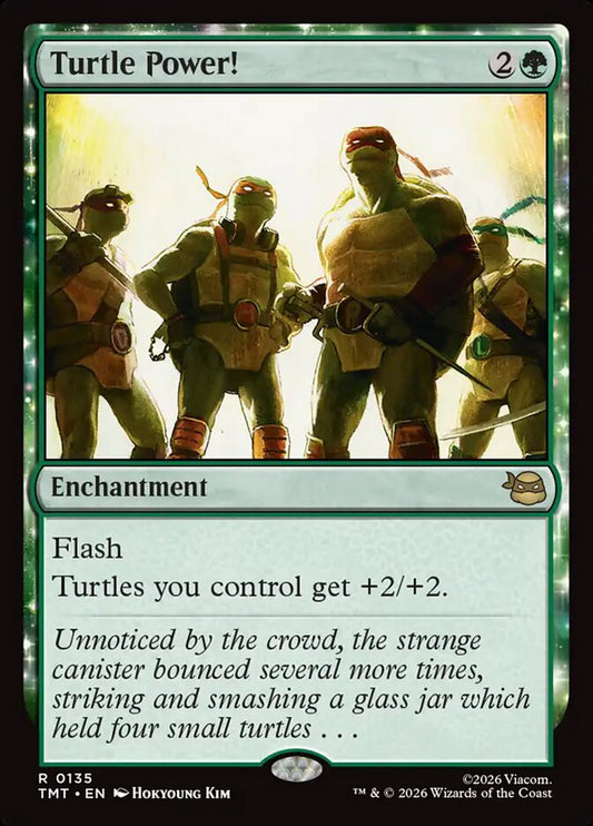 Turtle Power! front