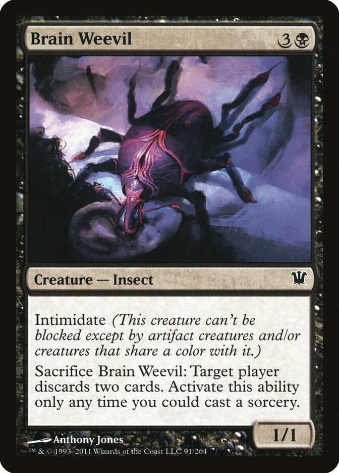 Brain Weevil front