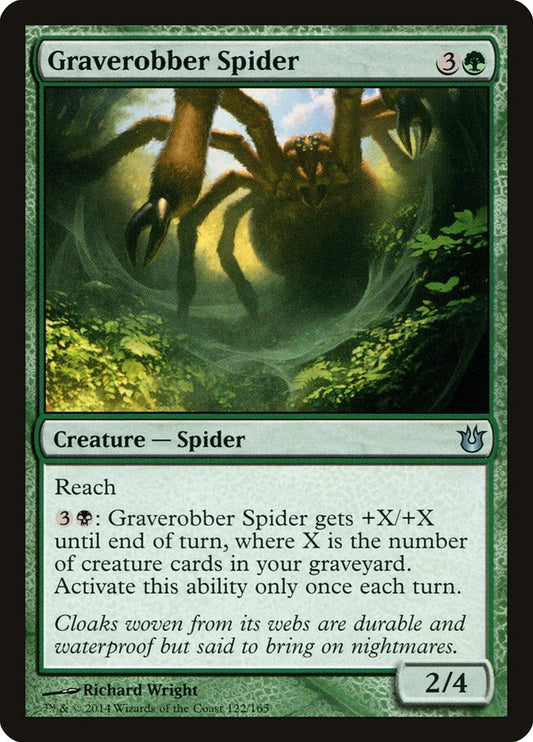 Graverobber Spider front