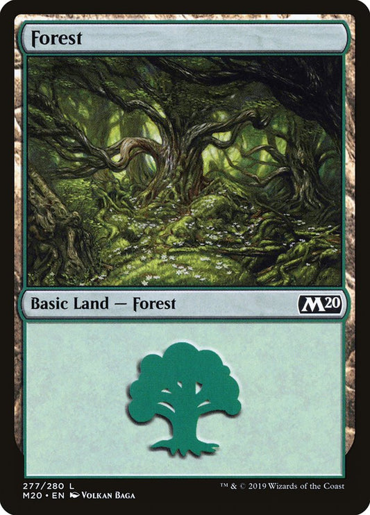 Forest front