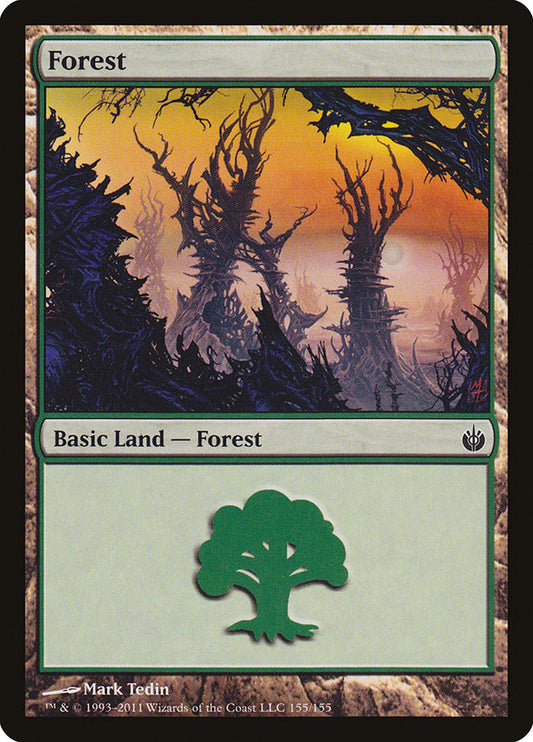 Forest front