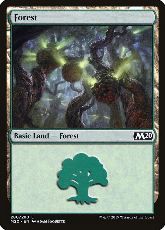 Forest front