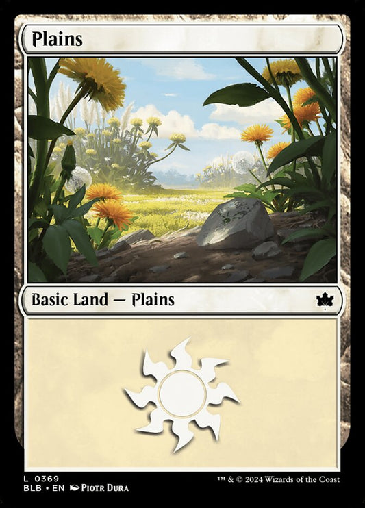 Plains front