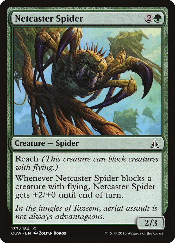 Netcaster Spider front
