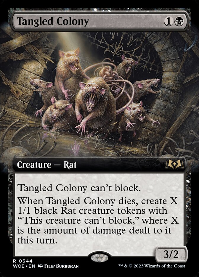 Tangled Colony front