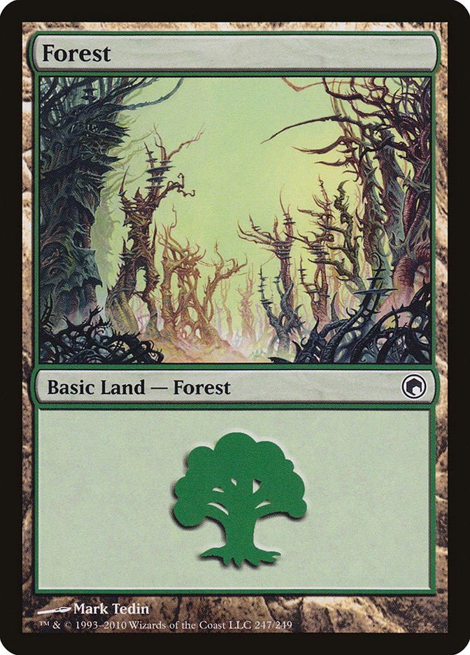 Forest front