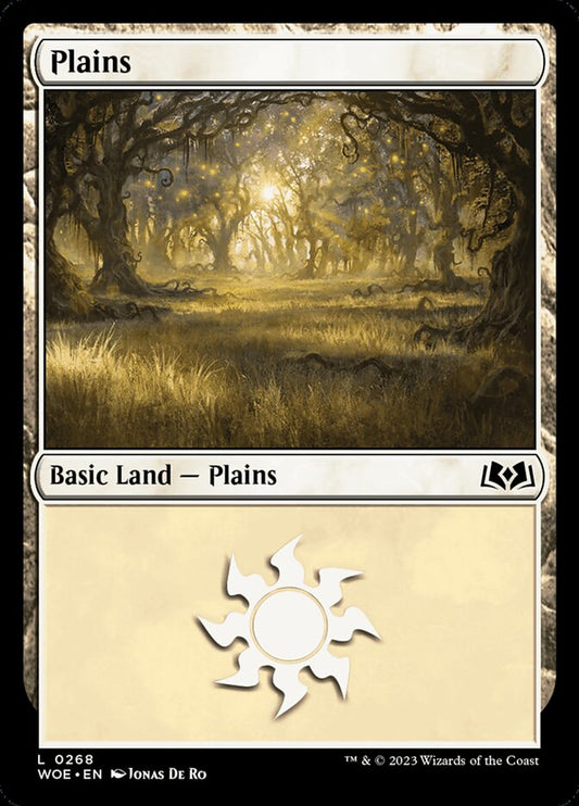 Plains front