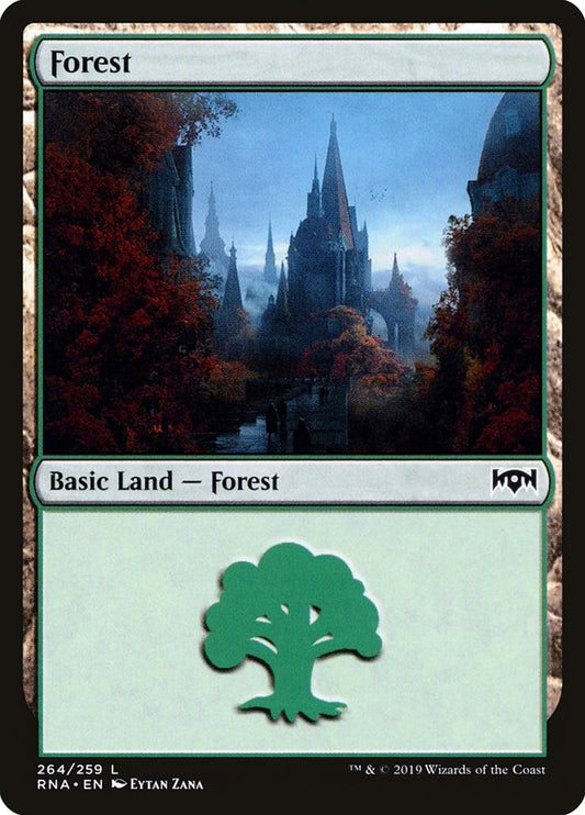 Forest front