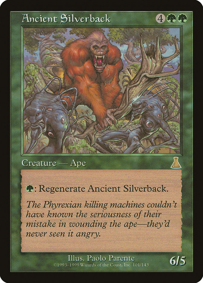 Ancient Silverback front