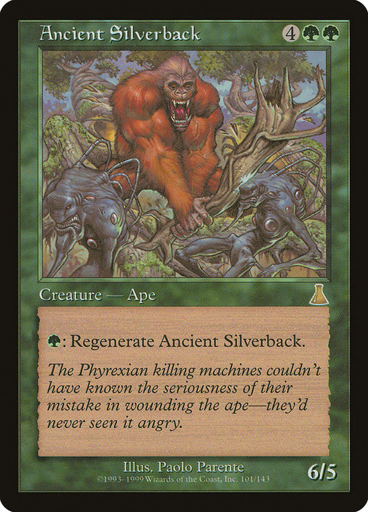 Ancient Silverback front