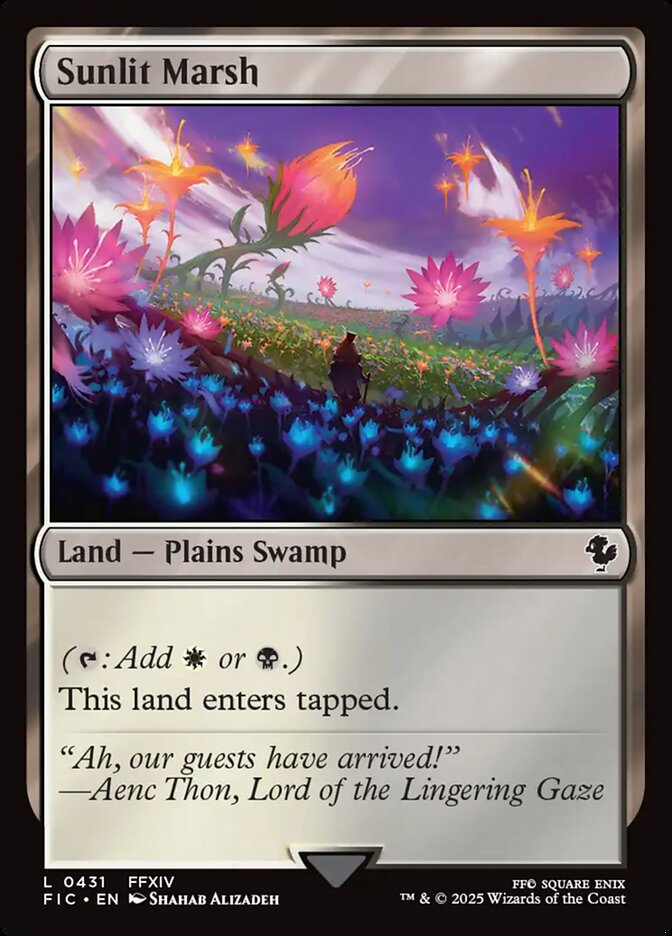 Sunlit Marsh front