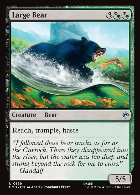 Large Bear front