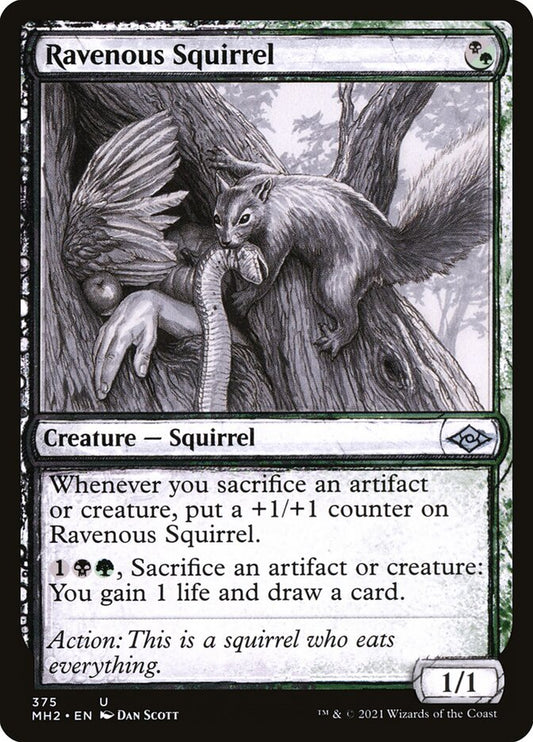 Ravenous Squirrel front