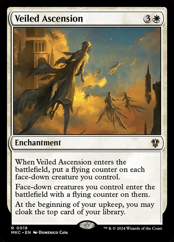 Veiled Ascension front