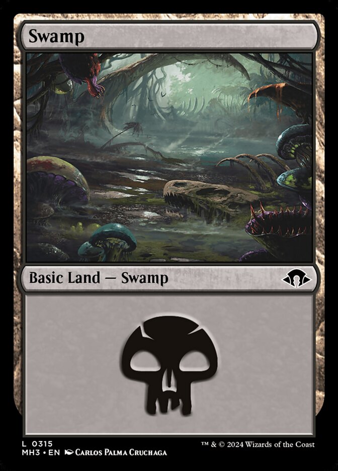 Swamp front