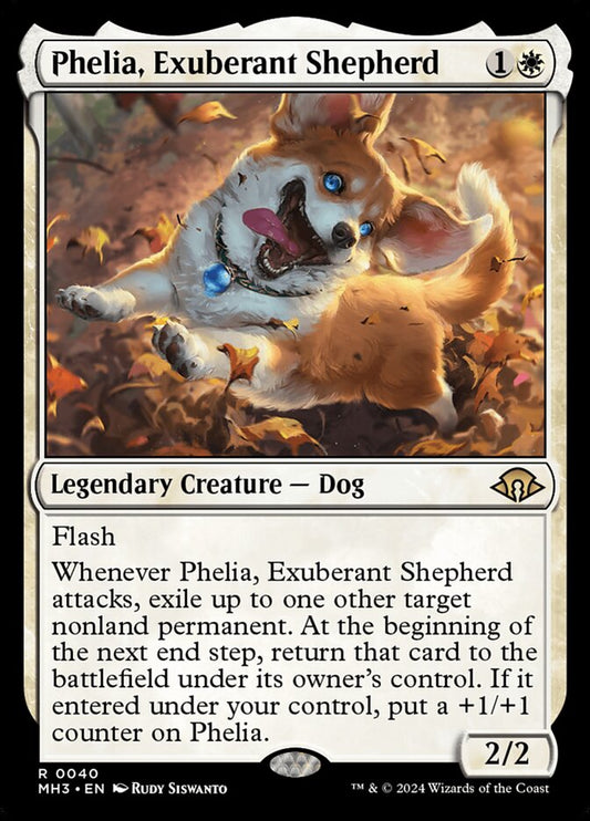 Phelia, Exuberant Shepherd front