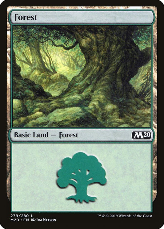 Forest front